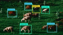 Data labeling in 8 steps- How we do it - Lemberg Solutions - Meta