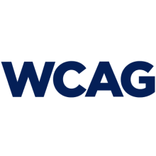 WCAG standard.png